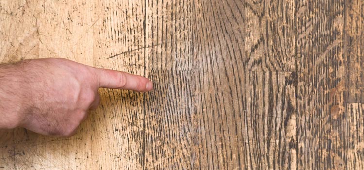Wood Door Scratch Repair in Montecito